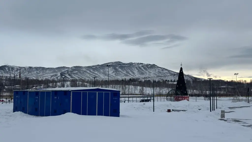 Фото: Леся Сарнавская