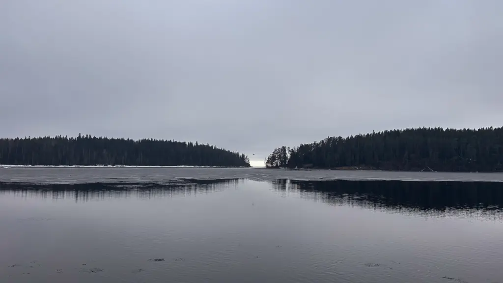 Фото: Репортёрские истории