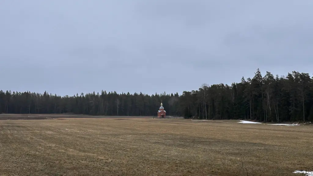 Фото: Репортёрские истории