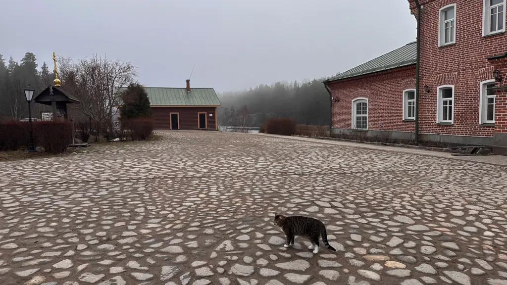 Фото: Репортёрские истории