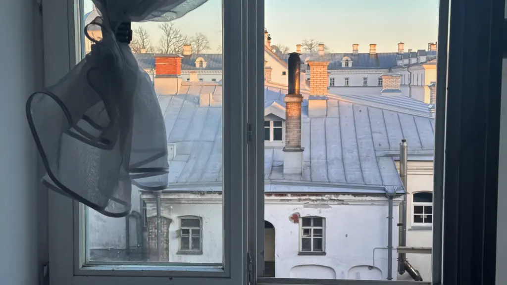 Фото: Репортёрские истории