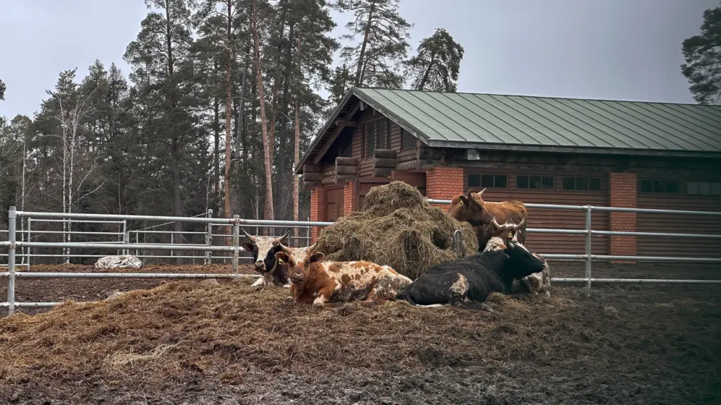 Фото: Репортёрские истории