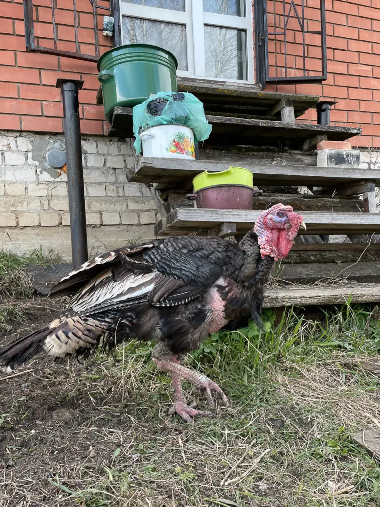 Фото: Новая вкладка