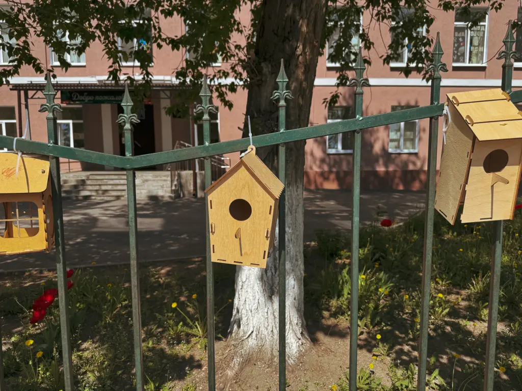 Фото: «Репортёрские истории»